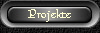 Projekte