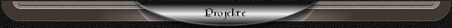 Projekte