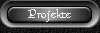 Projekte